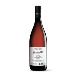 Vino Rosato Biologico Igp